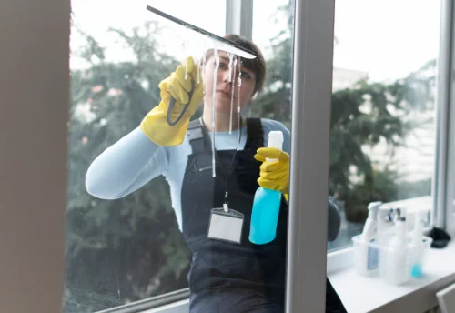 Nettoyage de vitres intérieures et extérieures à Vignoux-sur-Barangeon